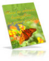 Thumbnail How To Attract Butterflies to Your Garden - plr