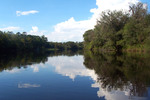 Thumbnail Suwannee River