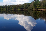 Thumbnail Suwannee River
