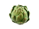 Thumbnail Artichoke Stock Photo - Royalty Free Image Thumbnail Artichoke Stock Photo - Royalty Free Image