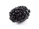 Thumbnail Blackberry Stock Photo - Royalty Free Image Thumbnail Blackberry Stock Photo - Royalty Free Image
