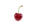 Thumbnail Cherry Stock Photo - Royalty Free Image