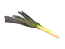 Thumbnail Leek Stock Photo - Royalty Free Image Thumbnail Leek Stock Photo - Royalty Free Image