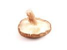 Thumbnail Shiitake Mushroom Stock Photo - Royalty Free Image
