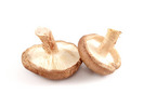 Thumbnail Shiitake Mushrooms Stock Photo - Royalty Free Image Thumbnail Shiitake Mushrooms Stock Photo - Royalty Free Image