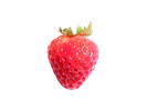 Thumbnail Strawberry Stock Photo - Royalty Free Image Thumbnail Strawberry Stock Photo - Royalty Free Image