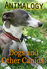 Thumbnail Animalogy: Dogs and Other Canids - Bassam Imam