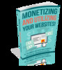 Thumbnail Monetizing and Utilizing Your Website 2017