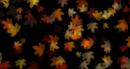 🍂 Digital Leaves Projection - Autumn Decoration