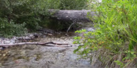 🏕️ Stock footage Relaxing water creek ,streams, nature sound, - Lost Creek MT USA