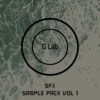 Thumbnail G Lab - SFX Sample Pack Vol 1