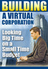 Thumbnail Building a Virtual Corporation