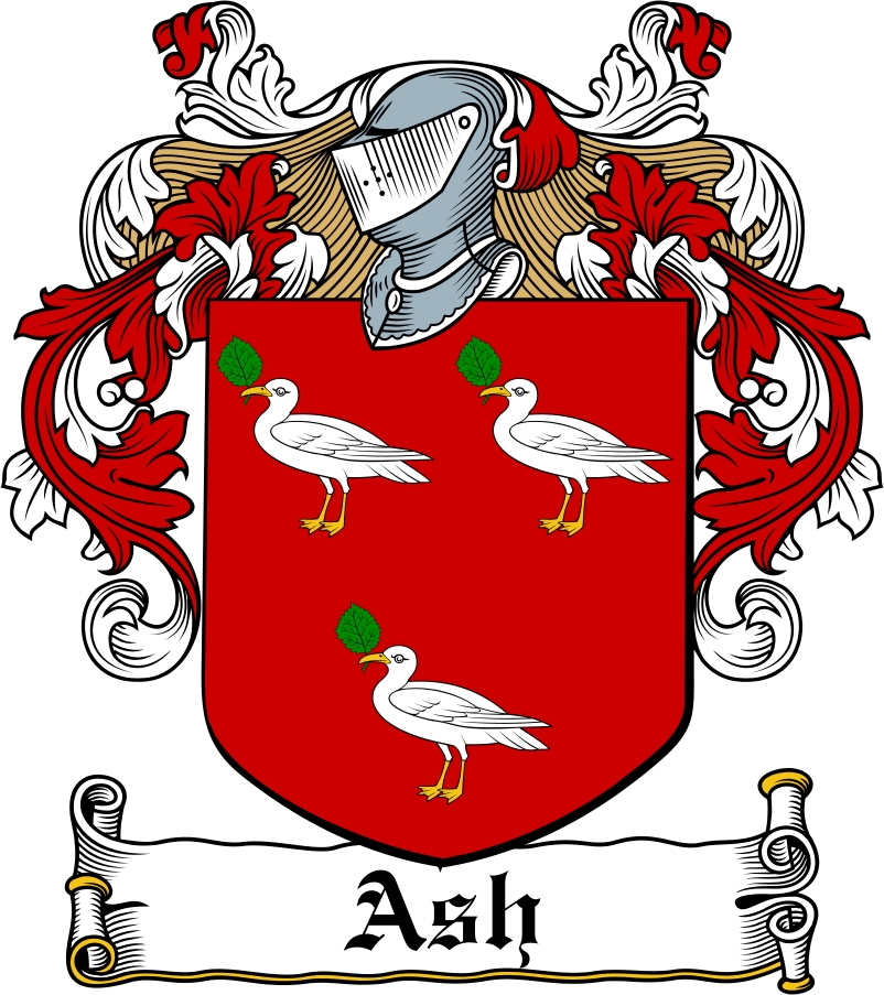 Thumbnail Ash Family Crest / Irish Coat of Arms Image Download