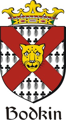 Thumbnail Bodkin Family Crest / Irish Coat of Arms Image Download