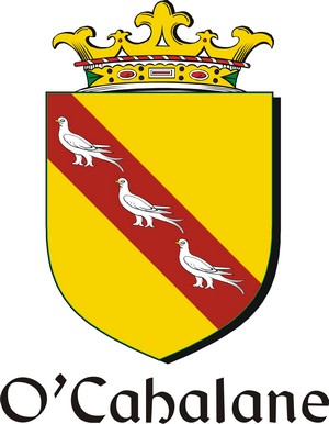 Thumbnail Cahalane-O Family Crest / Irish Coat of Arms Image Download Thumbnail Cahalane-O Family Crest / Irish Coat of Arms Image Download