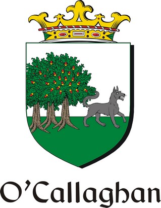 Thumbnail Callaghan-O Family Crest / Irish Coat of Arms Image Download Thumbnail Callaghan-O Family Crest / Irish Coat of Arms Image Download