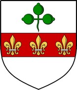 Thumbnail Disney Family Crest / Irish Coat of Arms Image Download