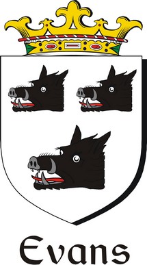 Thumbnail Evans-2 Family Crest / Irish Coat of Arms Image Download