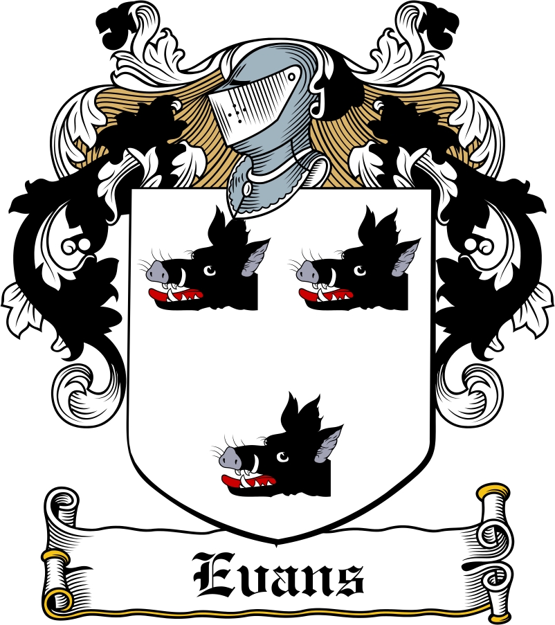 Thumbnail Evans Family Crest / Irish Coat of Arms Image Download Thumbnail Evans Family Crest / Irish Coat of Arms Image Download