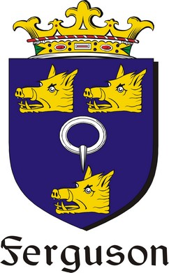 Thumbnail Ferguson Family Crest / Irish Coat of Arms Image Download