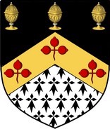 Thumbnail Fyan Family Crest / Irish Coat of Arms Image Download