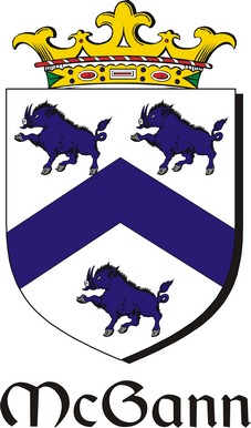 Thumbnail Gann-Mc Family Crest / Irish Coat of Arms Image Download