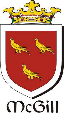 Thumbnail Gill-Mc Family Crest / Irish Coat of Arms Image Download Thumbnail Gill-Mc Family Crest / Irish Coat of Arms Image Download