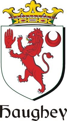 Thumbnail Haughey Family Crest / Irish Coat of Arms Image Download
