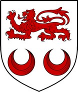 Thumbnail Kavanagh Family Crest / Irish Coat of Arms Image Download