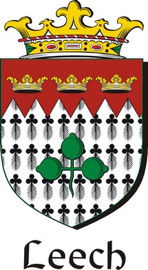 Thumbnail Leech Family Crest / Irish Coat of Arms Image Download Thumbnail Leech Family Crest / Irish Coat of Arms Image Download