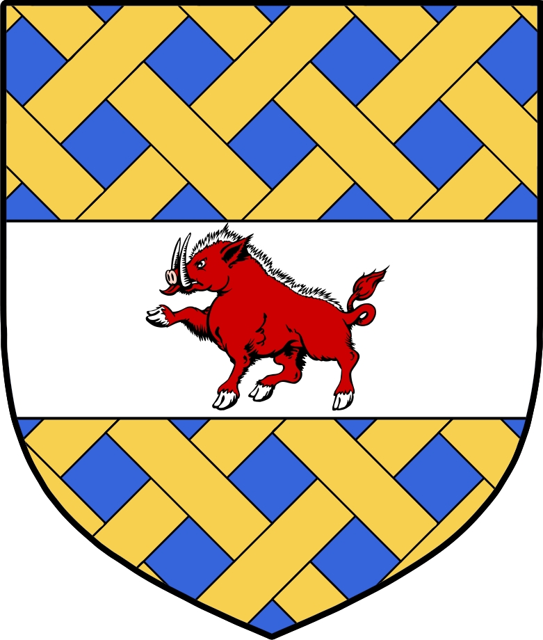 Thumbnail MacCann Family Crest / Irish Coat of Arms Image Download