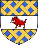 Thumbnail MacCann Family Crest / Irish Coat of Arms Image Download