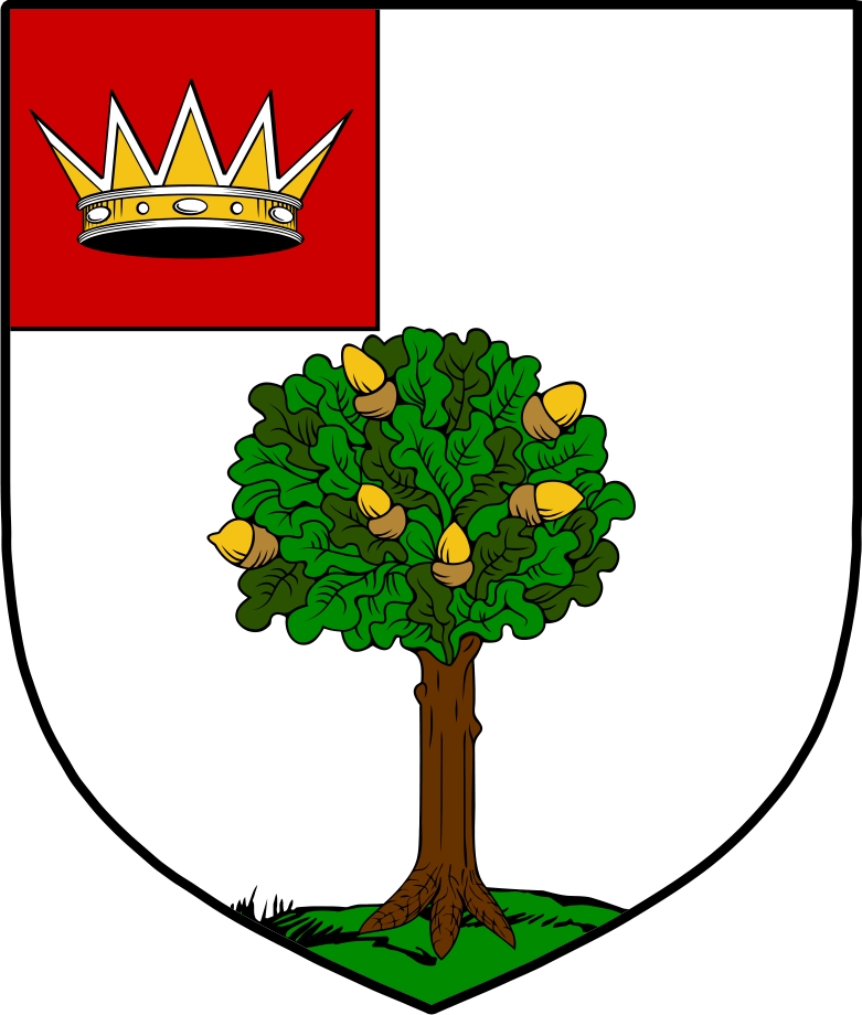 Thumbnail MacEnchroe Family Crest / Irish Coat of Arms Image Download