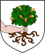 Thumbnail MacLoskie Family Crest / Irish Coat of Arms Image Download