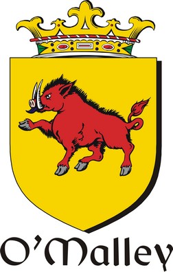 Thumbnail Malley-O Family Crest / Irish Coat of Arms Image Download Thumbnail Malley-O Family Crest / Irish Coat of Arms Image Download
