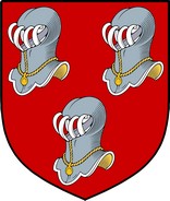 Thumbnail Minnitt Family Crest / Irish Coat of Arms Image Download