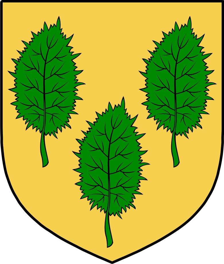 Thumbnail O‘Clery Family Crest / Irish Coat of Arms Image Download