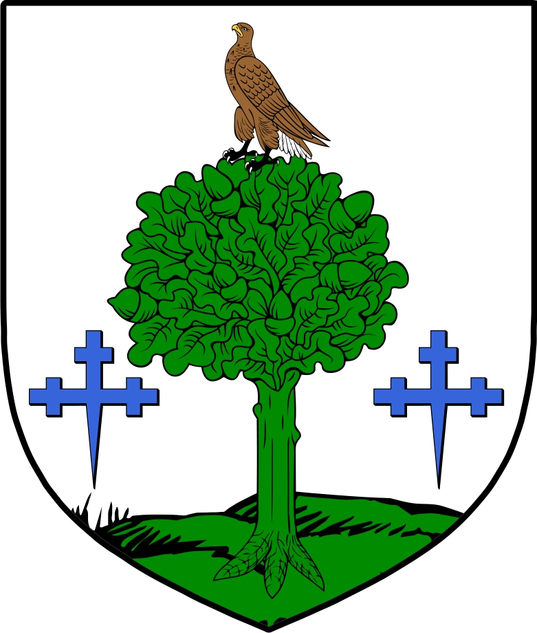 Thumbnail O‘Concannon Family Crest / Irish Coat of Arms Image Download