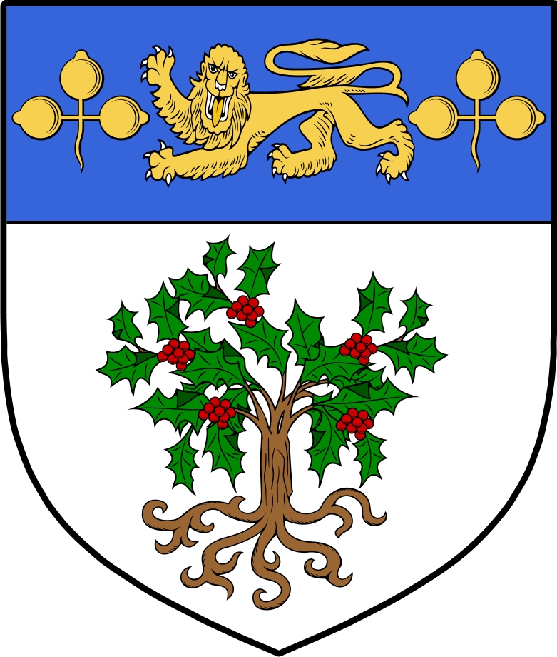 Thumbnail O‘Dowling Family Crest / Irish Coat of Arms Image Download