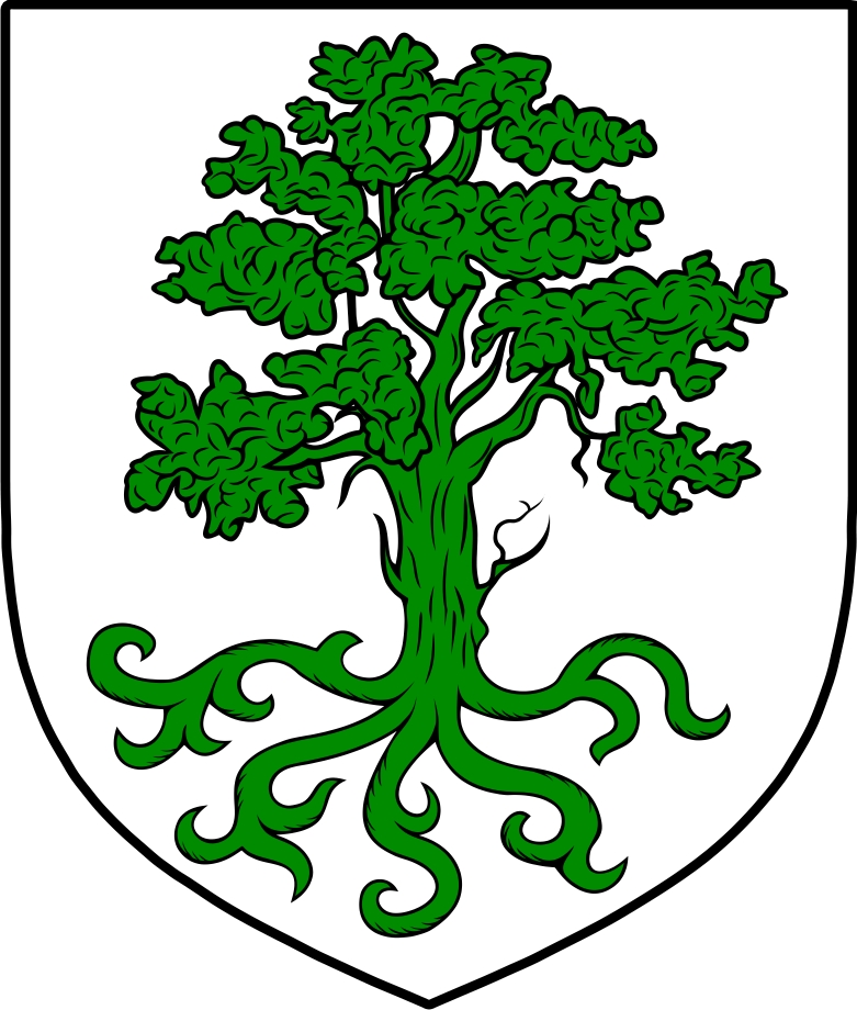 Thumbnail O‘Finaghty Family Crest / Irish Coat of Arms Image Download