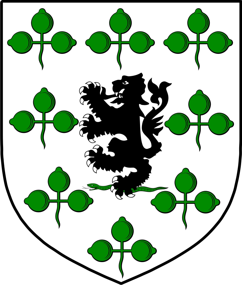 Thumbnail O‘Gallagher Family Crest / Irish Coat of Arms Image Download