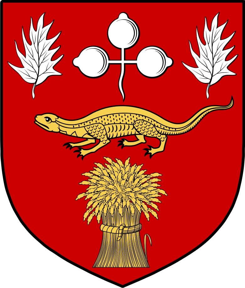 Thumbnail O‘Hanraghan Family Crest / Irish Coat of Arms Image Download