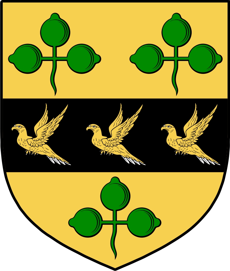 Thumbnail O‘Harty Family Crest / Irish Coat of Arms Image Download