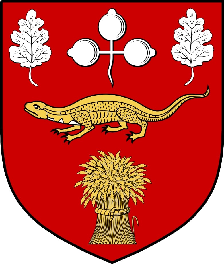 Thumbnail O‘Horgan Family Crest / Irish Coat of Arms Image Download