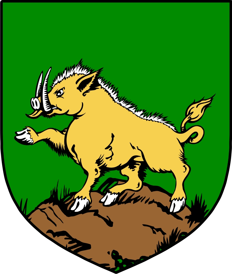 Thumbnail O‘Rogan Family Crest / Irish Coat of Arms Image Download