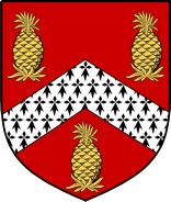 Thumbnail Pyne Family Crest / Irish Coat of Arms Image Download