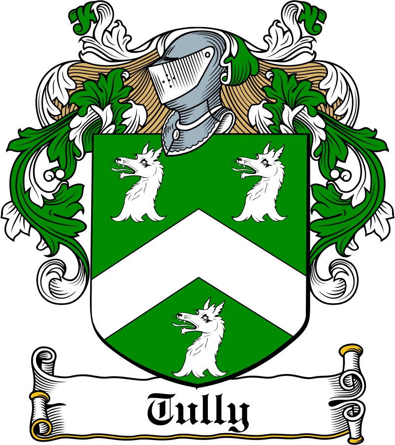 Thumbnail Tully Family Crest / Irish Coat of Arms Image Download