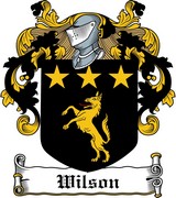 Thumbnail Wilson Family Crest / Irish Coat of Arms Image Download Thumbnail Wilson Family Crest / Irish Coat of Arms Image Download