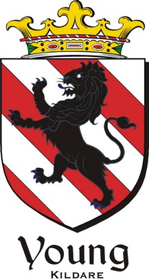 Thumbnail Young-Kild Family Crest / Irish Coat of Arms Image Download