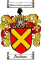 Thumbnail Androe Family Crest  Androe Coat of Arms